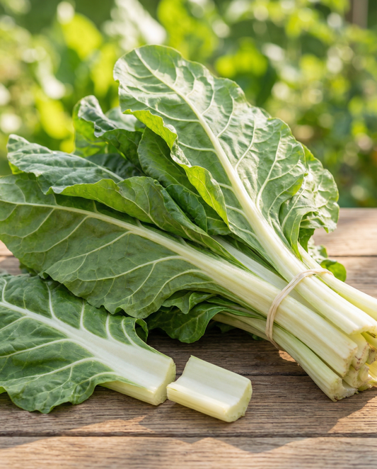 Acelga Lucullus (Beta vulgaris) – semillas de hortaliza anual de SeedsChoice