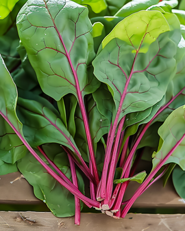 Sementes de espinafre Red Kitten F1 Spinacia oleracea – variedade anual