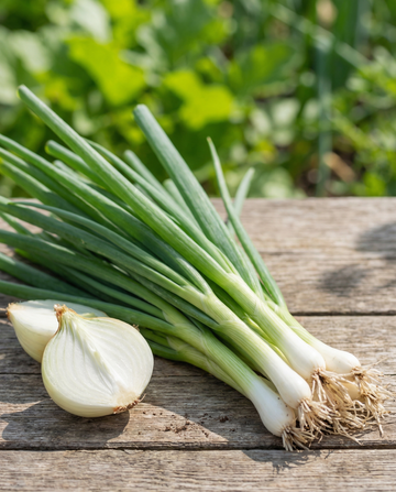 Cebolinha White Lisbon Spring (Allium cepa) – sementes de hortaliça anual da SeedsChoice
