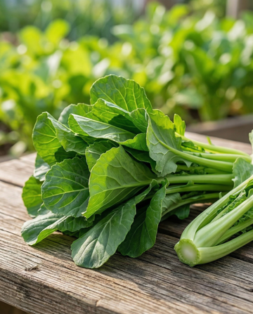Grelos Early Spring (Brassica rapa) – semillas de hortaliza de SeedsChoice