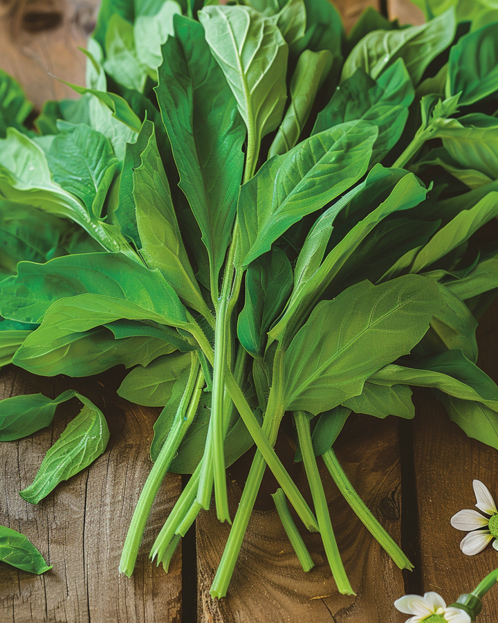 Sementes de alface-de-cordeiro de folha grande 25g (Valerianella locusta) – legume