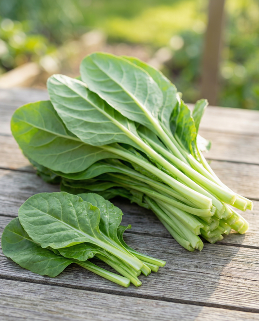 Acelga Leafy Green 50g (Beta vulgaris) – semillas de hortaliza de SeedsChoice
