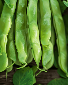 Climbing French Bean Seeds Helda Phaseolus Vulgaris Annual 100g