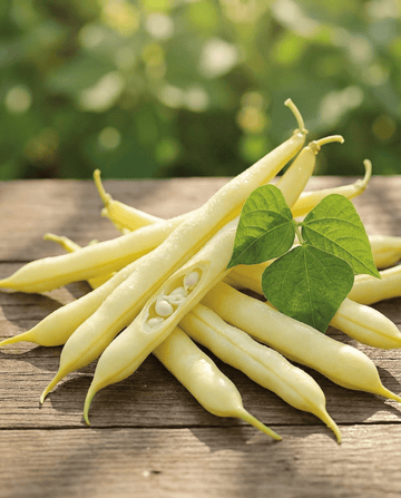 Bush Beans Gondola 100g (Phaseolus vulgaris) – annual vegetable seeds from SeedsChoice