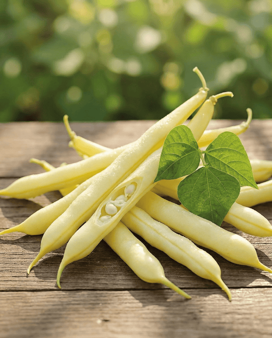 Bush Beans Gondola 100g (Phaseolus vulgaris) – annual vegetable seeds from SeedsChoice