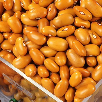 Semillas de judía enana Brown Dutch 100 g (Phaseolus vulgaris) – hortaliza anual