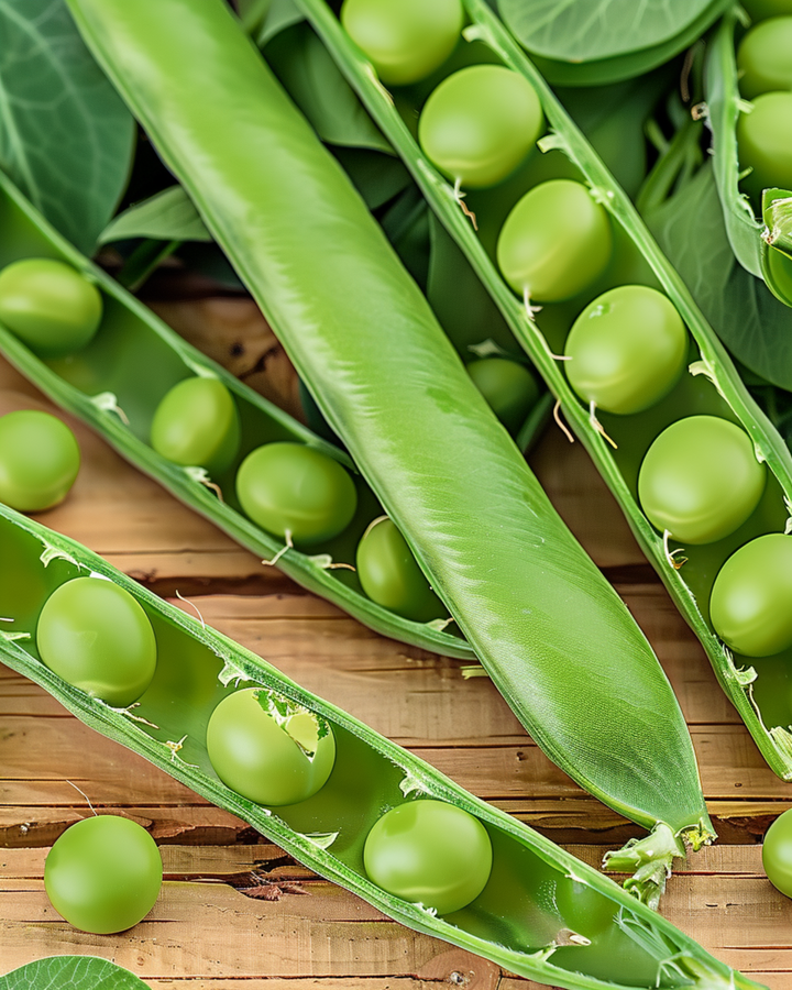 Semillas de guisante Eminent (Pisum sativum) – hortaliza anual