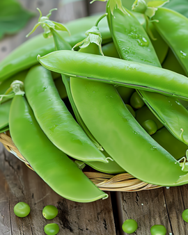Semillas de guisante dulce Pisum sativum Oregon Sugar Pod, variedad anual 100g