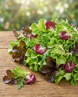 Sementes de Mistura para Salada Francesa Biológica Anual Mesclun
