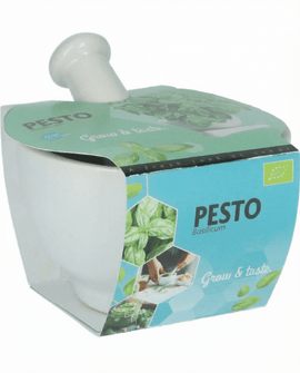 Semillas de albahaca ecológica Ocimum basilicum hierba Mortar Set