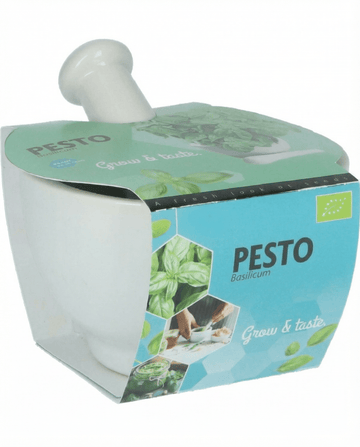 Sementes de manjericão Mortar Set (Ocimum basilicum) – erva biológica
