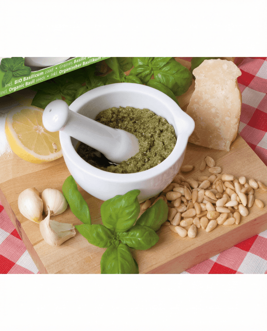 Manjericão Mortar Set (Ocimum basilicum) – sementes de erva biológica da SeedsChoice