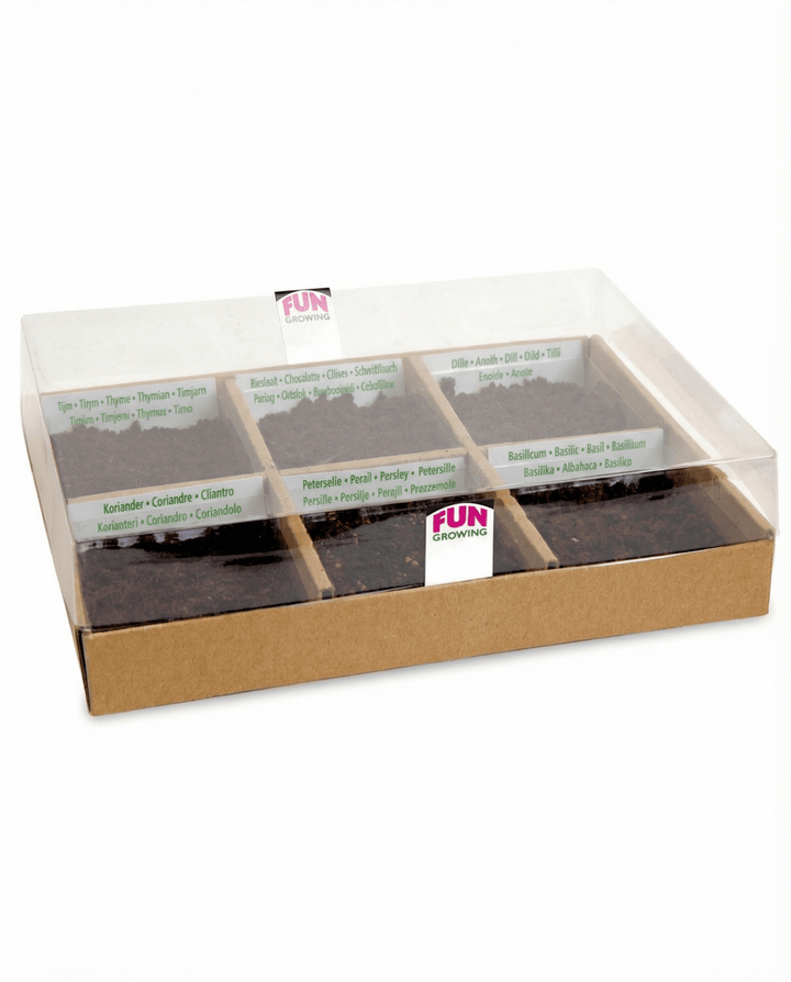 Semillas del set iniciador culinario con 6 variedades – kit de cultivo