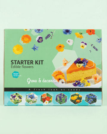 Semillas de kit de inicio comestible (Borago officinalis) – kit de cultivo