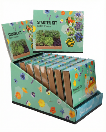 Borago officinalis – kit de iniciación comestible cultivado desde semilla