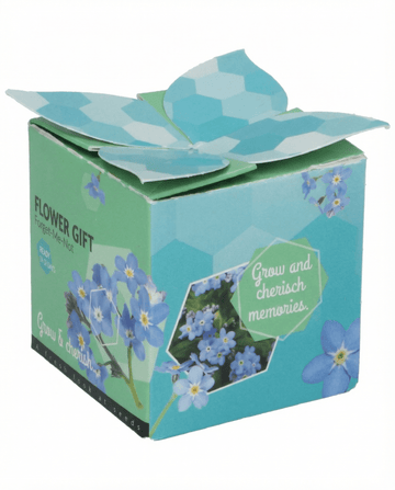 Sementes Forget-Me-Not Vaso de Terracota 0,1 g (Myosotis alpestris) – kit de cultivo bienal