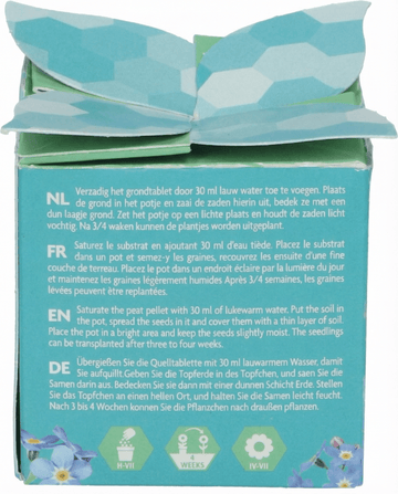 Sementes Forget-Me-Not Vaso de Terracota 0,1 g – kit de cultivo bienal da SeedsChoice