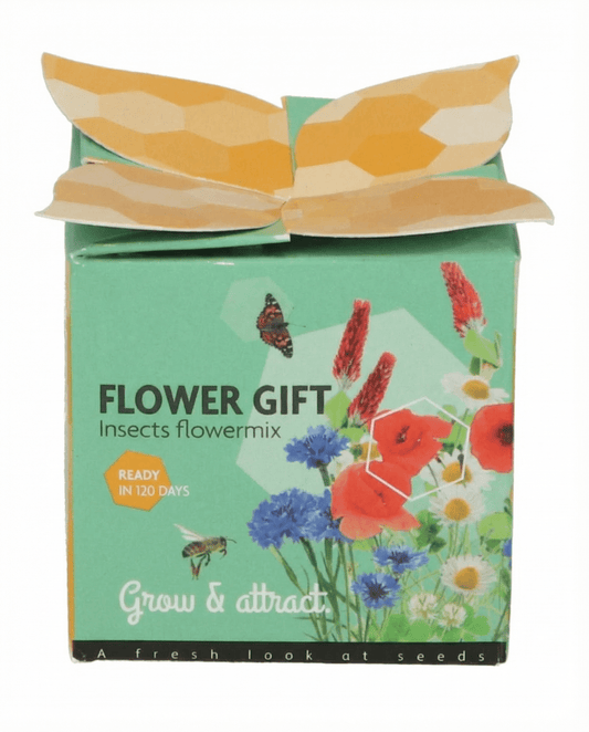 Conjunto Oferta Vaso de Terracota Mistura para Insectos – kit de cultivo com sementes da SeedsChoice
