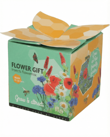 Conjunto Oferta Vaso de Terracota Mistura para Insectos – kit de cultivo da SeedsChoice