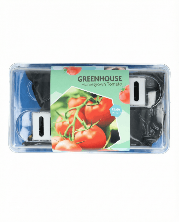 Sementes de tomate Maja para estufa e terraço (Solanum lycopersicum) – kit de cultivo