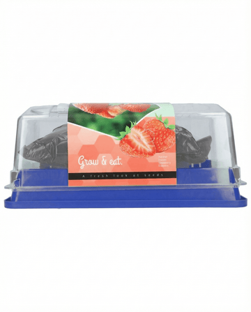 Semillas de fresa Grandian F1 de invernadero (Fragaria × ananassa) – kit de cultivo perenne