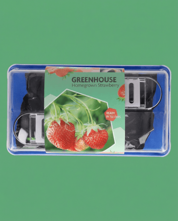 Fresa Grandian F1 de invernadero (Fragaria × ananassa) – kit de cultivo de semillas perennes de SeedsChoice