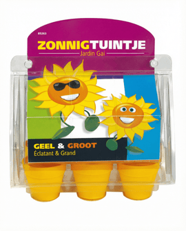 Semillas de girasol Helianthus annuus anual 50 cm kit de cultivo para niños