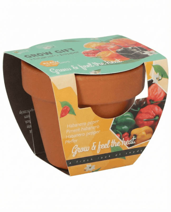 Sementes de Pimento Habanero Vaso de Terracota (Capsicum chinense) – kit de cultivo