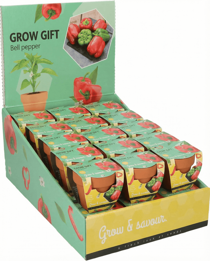 Sementes de Pimento em Vaso de Terracota (Capsicum annuum) – kit de cultivo