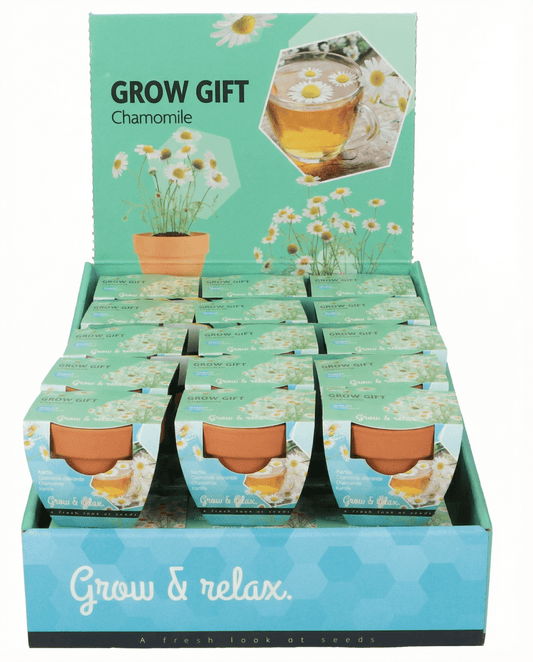 Manzanilla (Matricaria chamomilla) – semillas de kit de cultivo anual de SeedsChoice