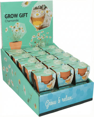 Sementes de camomila (Matricaria chamomilla) – kit de cultivo anual