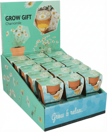 Chamomile seeds (Matricaria chamomilla) – annual grow kit