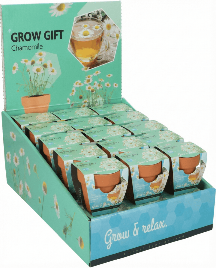 Semillas de manzanilla (Matricaria chamomilla) – kit de cultivo anual