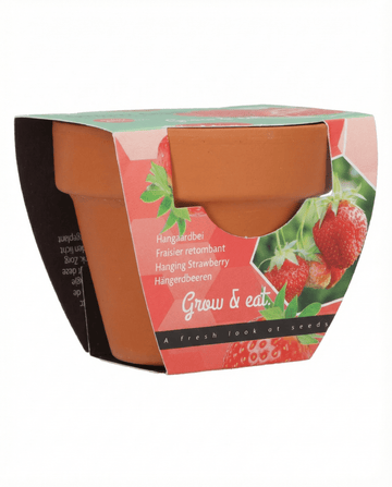 Morangueiro Pendente (Fragaria × ananassa) – sementes perenes da SeedsChoice
