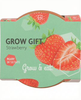 Semillas de fresa colgante Fragaria ananassa perenne