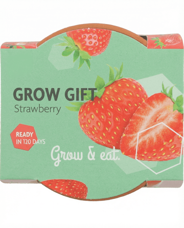 Sementes de Morangueiro Pendente (Fragaria × ananassa) – perene