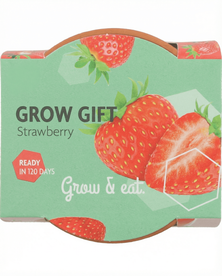 Sementes de Morangueiro Pendente (Fragaria × ananassa) – perene