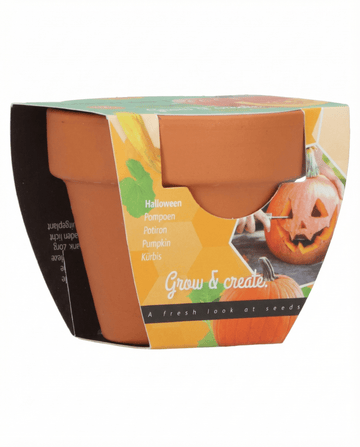 Calabaza de Halloween (Cucurbita pepo) – kit de cultivo con semillas de SeedsChoice