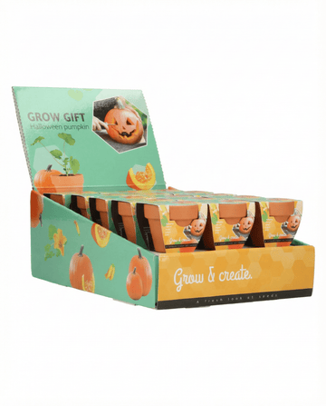 Semillas de calabaza de Halloween – kit de cultivo de SeedsChoice