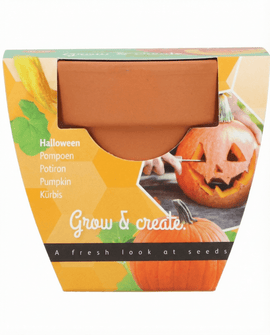 Kit de cultivo de sementes de abóbora de Halloween Cucurbita Pepo
