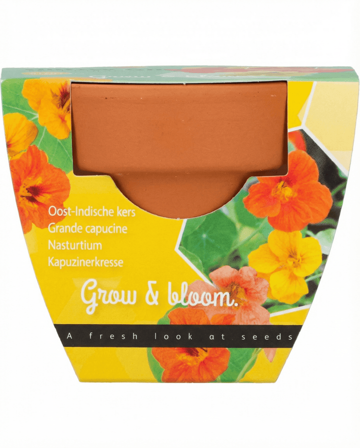 Nasturtium seeds (Tropaeolum majus) – annual grow kit