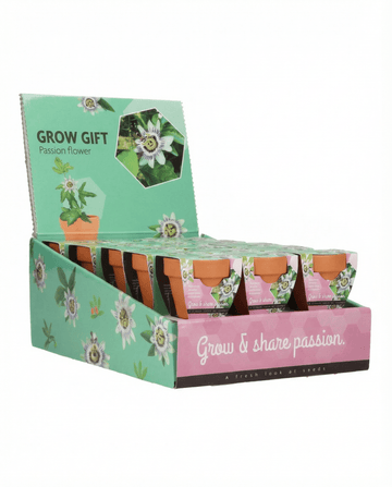 Passiflora Passion Gift Terracotta Pot 30 Pack seeds – grow kit