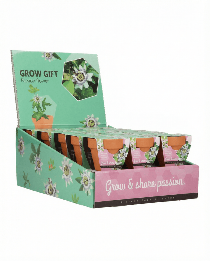 Kit de cultivo Passiflora – maceta de terracota y 30 semillas, regalo
