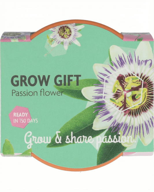 Kit de cultivo Passiflora – maceta de terracota y 30 semillas, de SeedsChoice