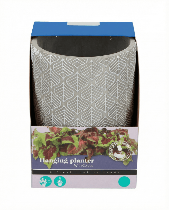 Sementes de Vaso Suspenso (Coleus blumei) – kit de cultivo