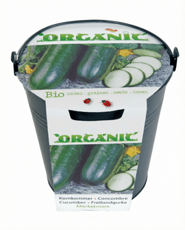 Semillas de pepino ecológicas Cucumis sativus variedad Marketmore
