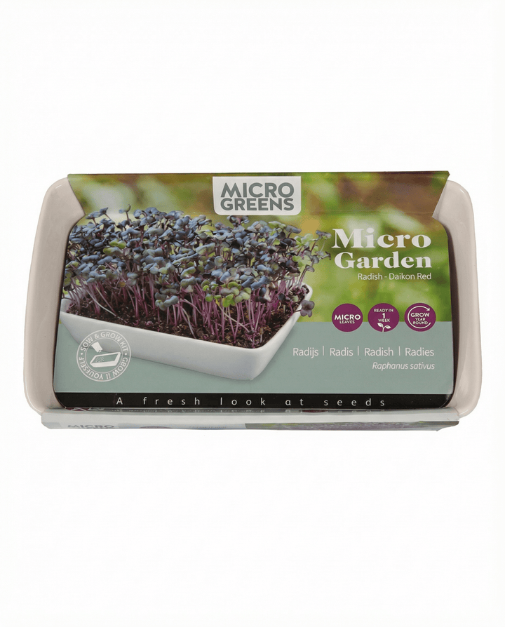 Sementes de microverdes de rabanete daikon (Raphanus sativus) – kit de cultivo