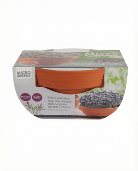 Sementes de Red Mizuna Brassica japonica Kit de Microverdes Terracotta Vegetables