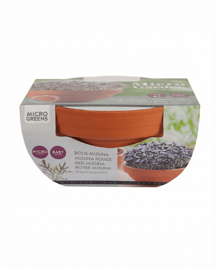 Sementes de Microverdes Red Mizuna Terracotta Vegetables (Brassica japonica) – kit de cultivo