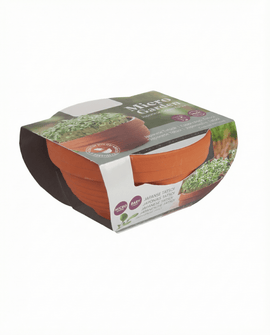 Semillas de Tatsoi Brassica narinosa kit de microgreens Terracotta Dish
